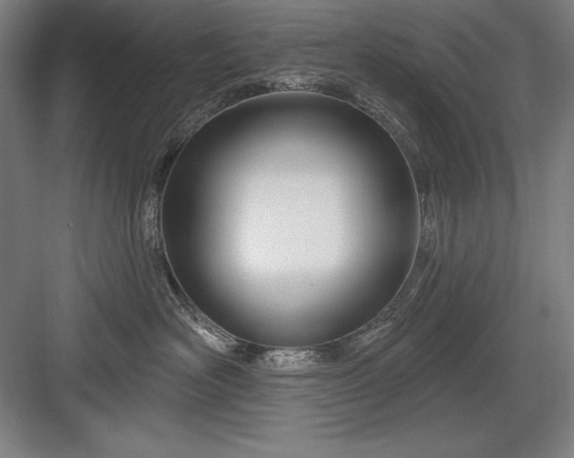 X0000082980526200702160001