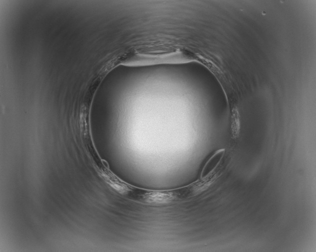 X0000082980527200702160001