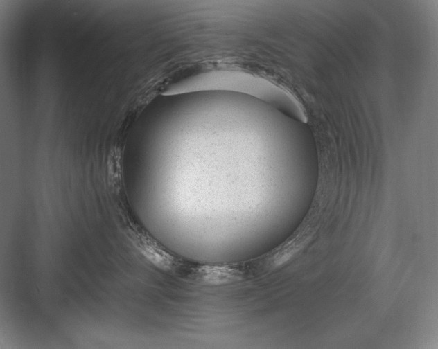 X0000082980528200702160001