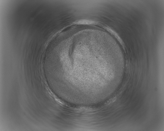 X0000082980529200702160000