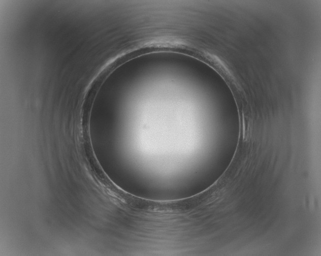 X0000082980531200702160000