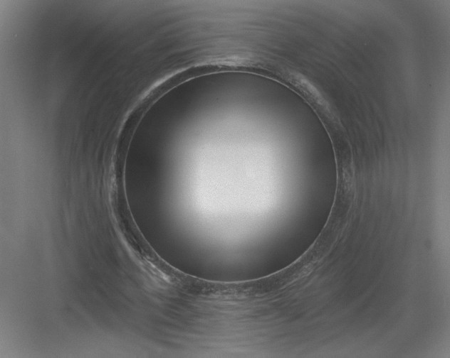 X0000082980532200702160000
