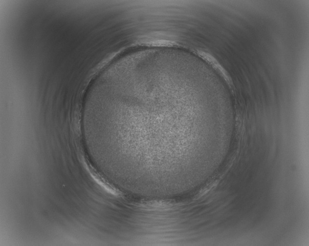 X0000082980533200702160000