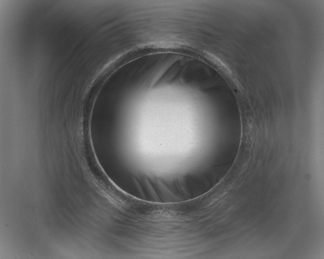 X0000082980535200702160000