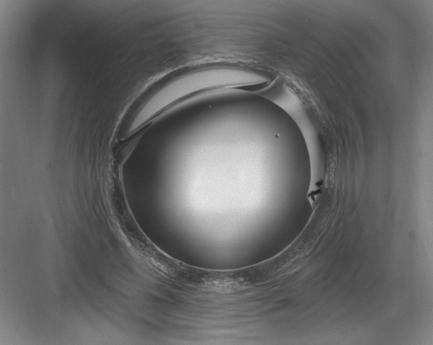 X0000082980540200702160000