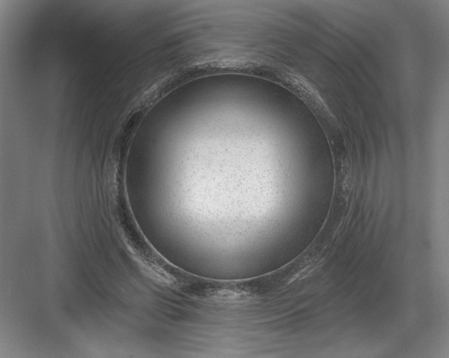 X0000082980542200702160000