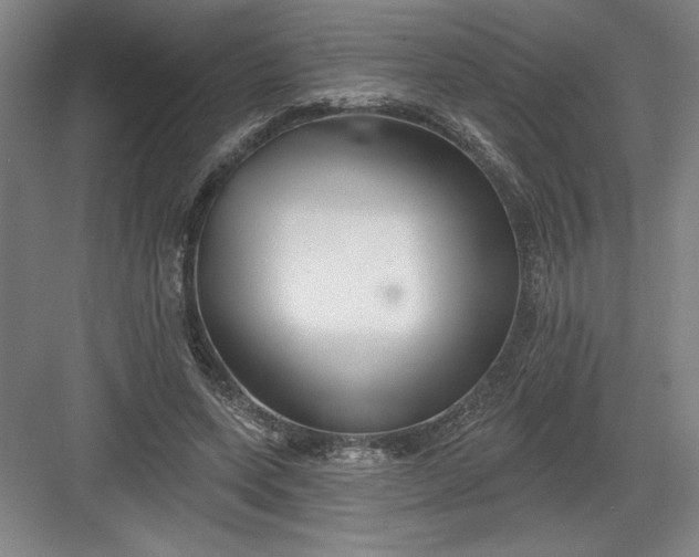 X0000082980543200702160000
