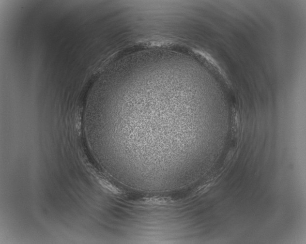 X0000082980545200702160000