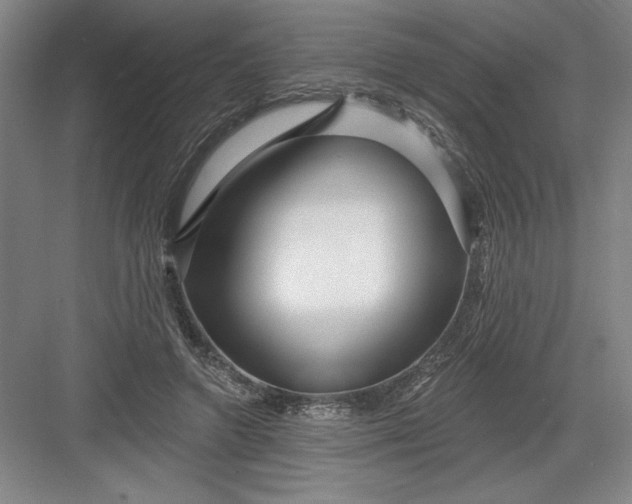 X0000082980546200702160000
