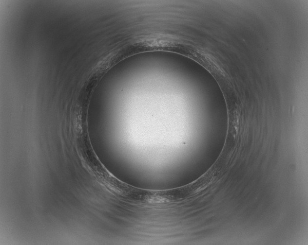 X0000082980547200702160000