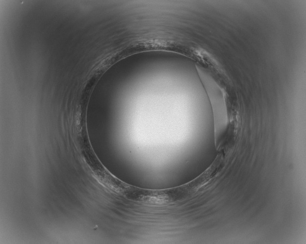 X0000082980548200702160000