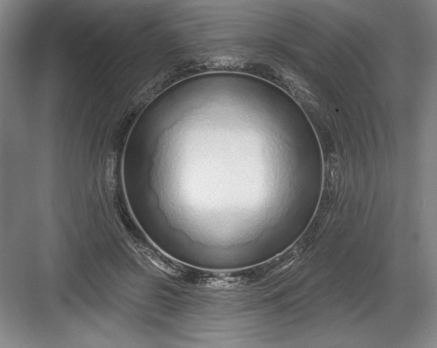 X0000082980550200702160000