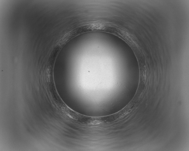 X0000082980551200702160000
