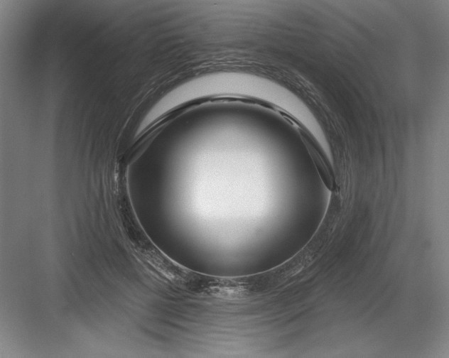 X0000082980552200702160000