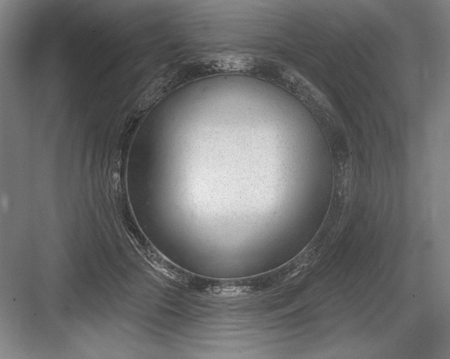 X0000082980553200702160000