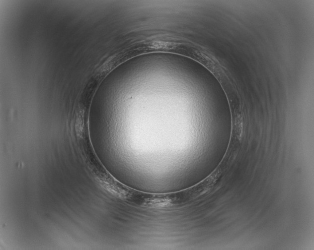 X0000082980554200702160000