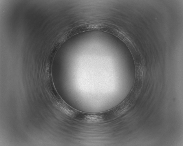 X0000082980557200702160000