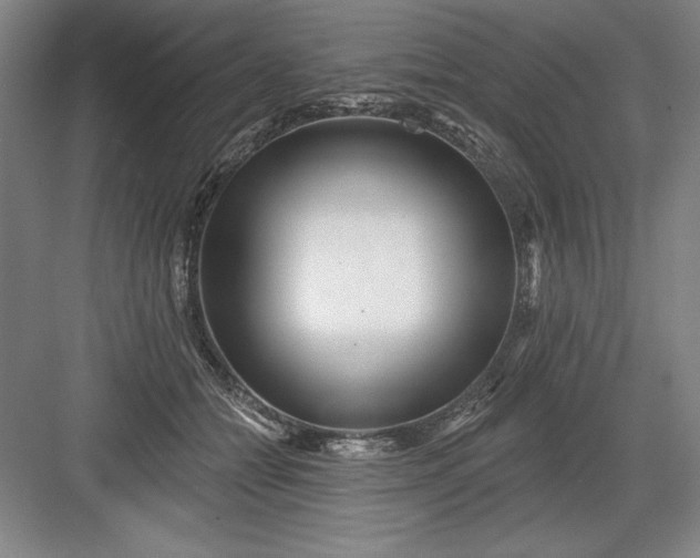 X0000082980558200702160000