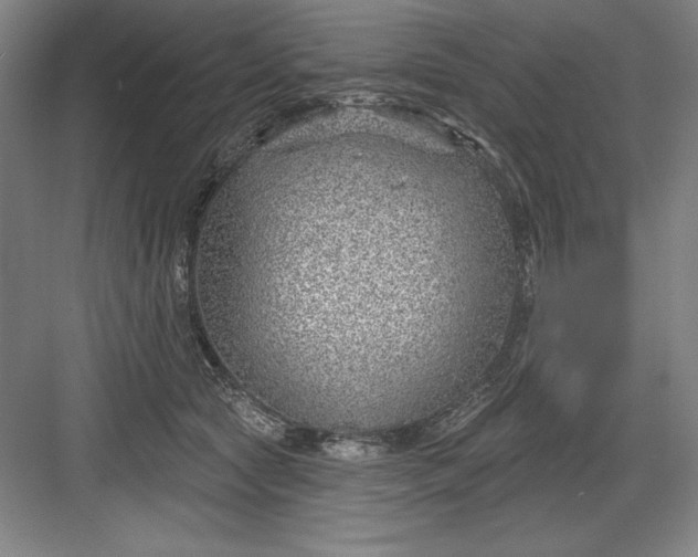 X0000082980561200702160000