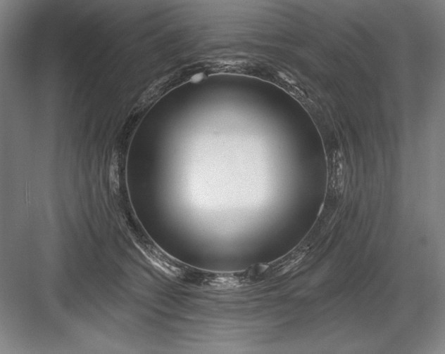 X0000082980562200702160000