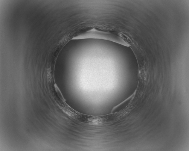 X0000082980564200702160000