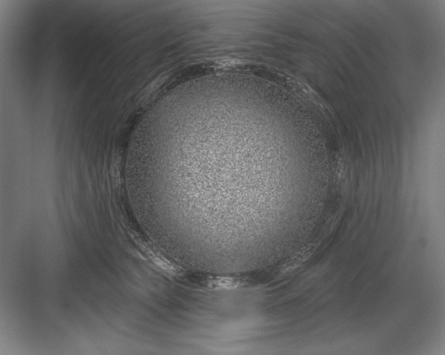 X0000082980565200702160000