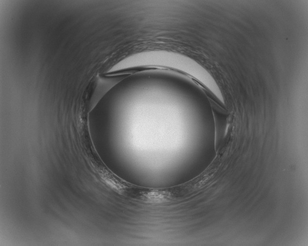 X0000082980566200702160000