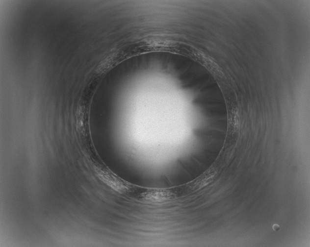 X0000082980567200702160000