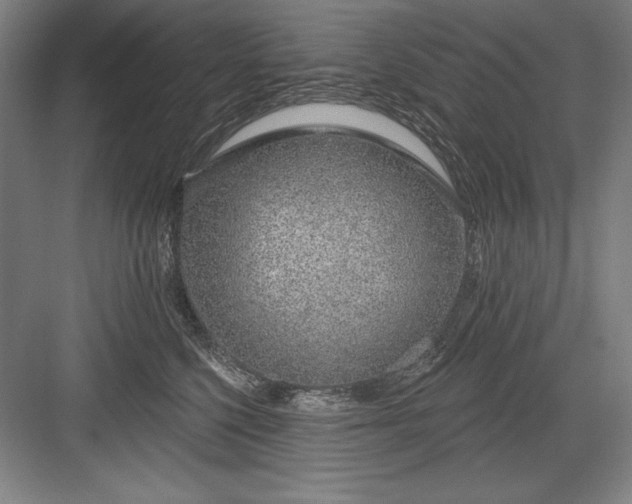 X0000082980568200702160000