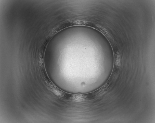 X0000082980569200702160000