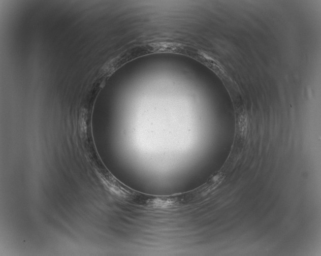 X0000082980570200702160000