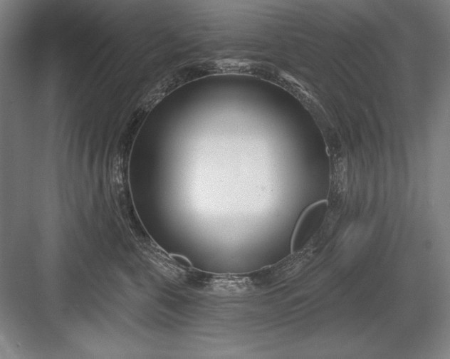 X0000082980571200702160000