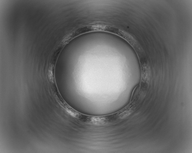 X0000082980573200702160000
