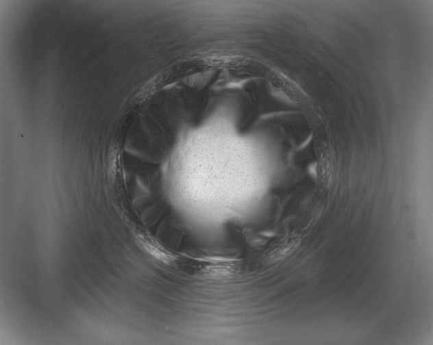 X0000082980574200702160000
