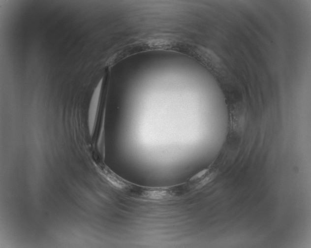 X0000082980575200702160001
