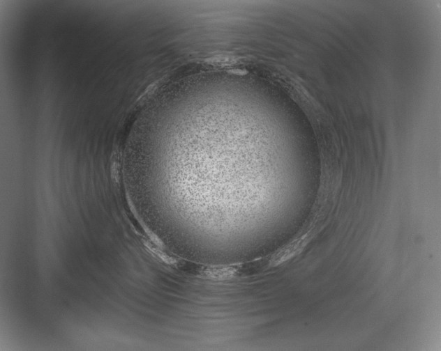 X0000082980576200702160001