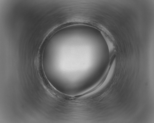 X0000082980580200702160000