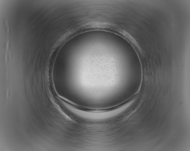 X0000082980581200702160000