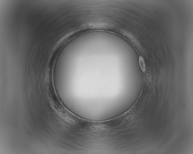 X0000082980583200702160000