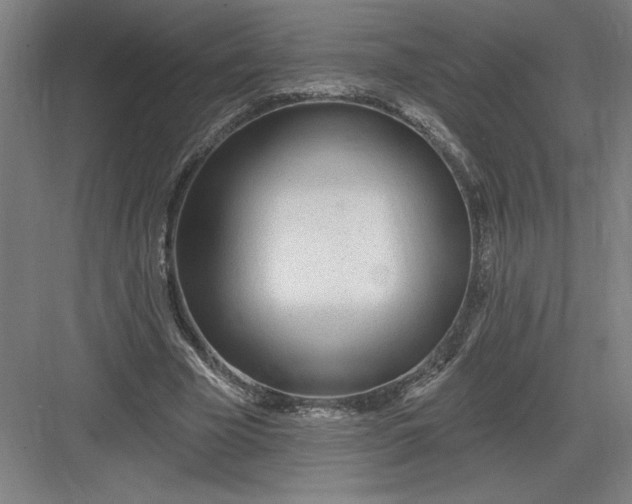 X0000082980585200702160000