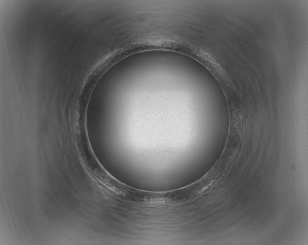 X0000082980587200702160000