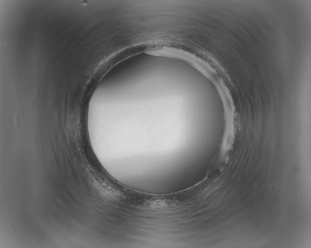 X0000082980588200702160000