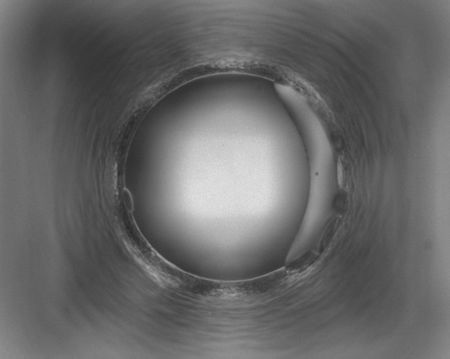 X0000082980589200702160000