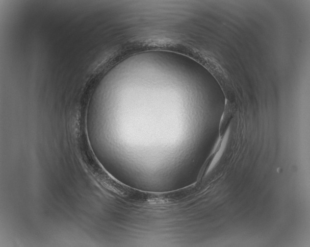 X0000082980591200702152359