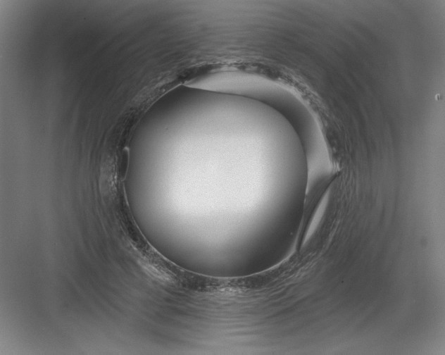X0000082980593200702152359