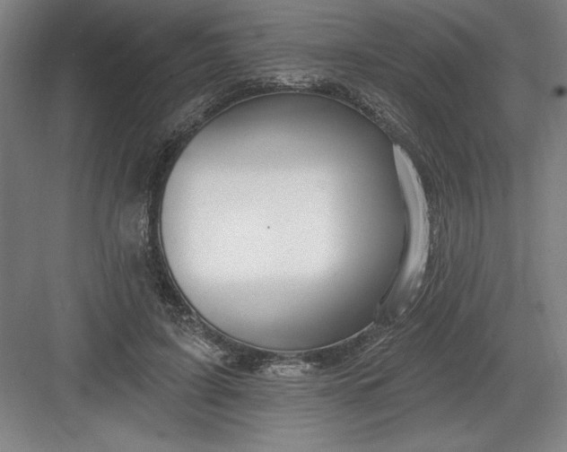 X0000082980595200702152359