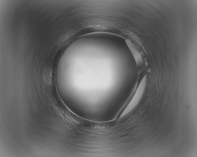 X0000082980596200702152359