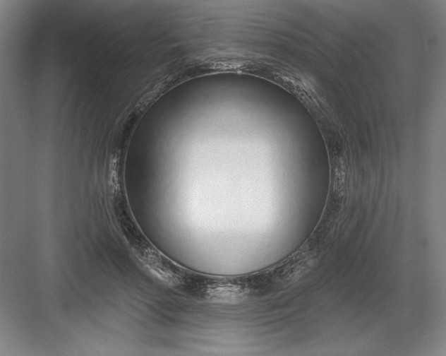 X0000082980598200702152359