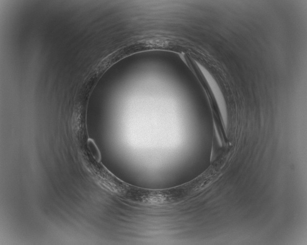 X0000082980600200702152359