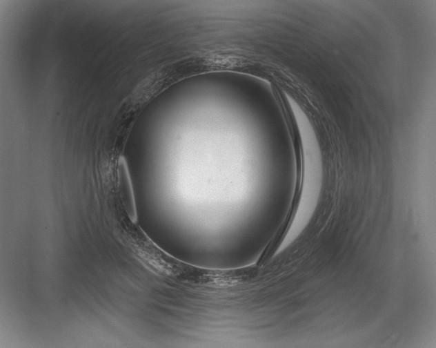 X0000082980601200702152359